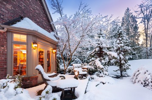 Zo geniet je van je tuin in de winter